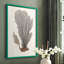 Knorr Shells & Coral III, reproduction encadrée - bois massif-1068156749-1068156738