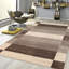 Tribal Striped Area Rug in Brown / Brown