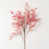 Rose est en rupture de stock