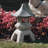 Pagoda Decorative Lantern-19222004