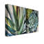 «Brilliant Succulents I / II» par Norman Wyatt Jr. - Ensemble d'impressions sur toile tendue-28142649-103282079-107083914
