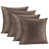 Chocolate Brown