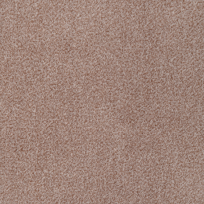 Kravet Design, Taupe