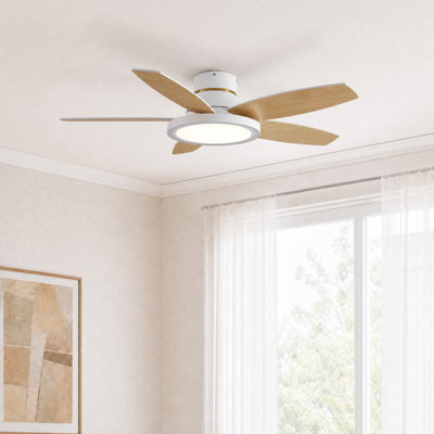 42" 5 - Blade Flush Mount Low Profile Small Room Ceiling Fan with Adjustable RGB Light and Remote
