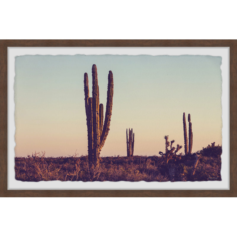 Cactus Sunrise - Single Picture Frame Print, 41cm H x 61cm W x 3.81cm D