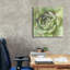 "Epic Graffiti" Garden Succulents 2 Color "par Laura Marshall, art mural sur toile-1127904859
