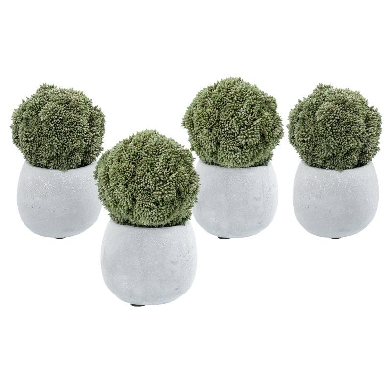 4 Piece Decorative Ball Objects Vase Filler Set