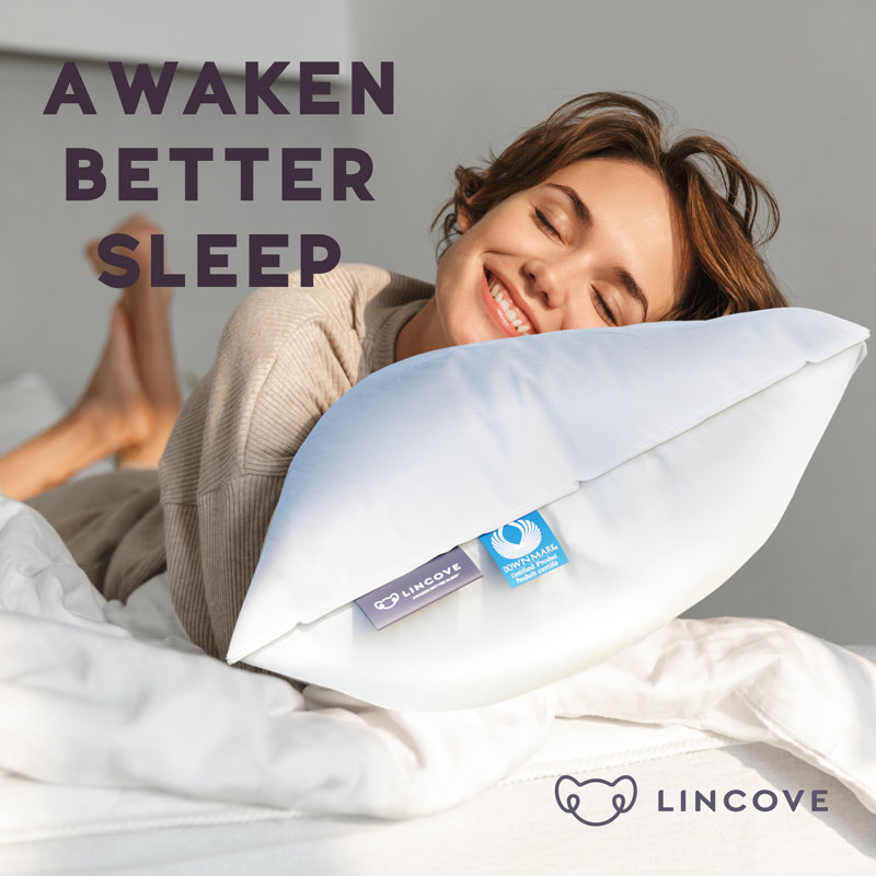 Down Medium Pillow