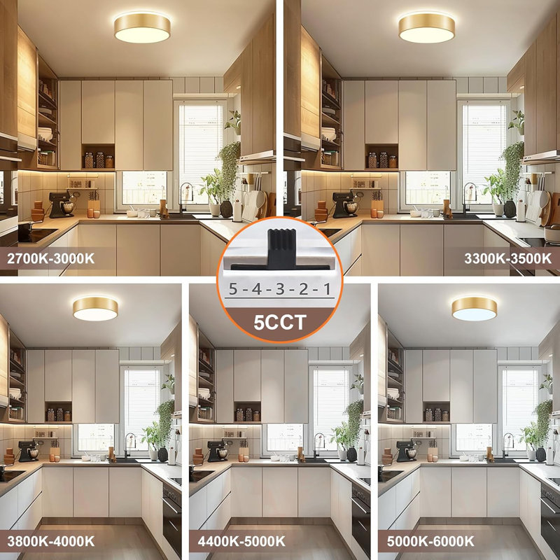 Flat Mounted Ceiling Light