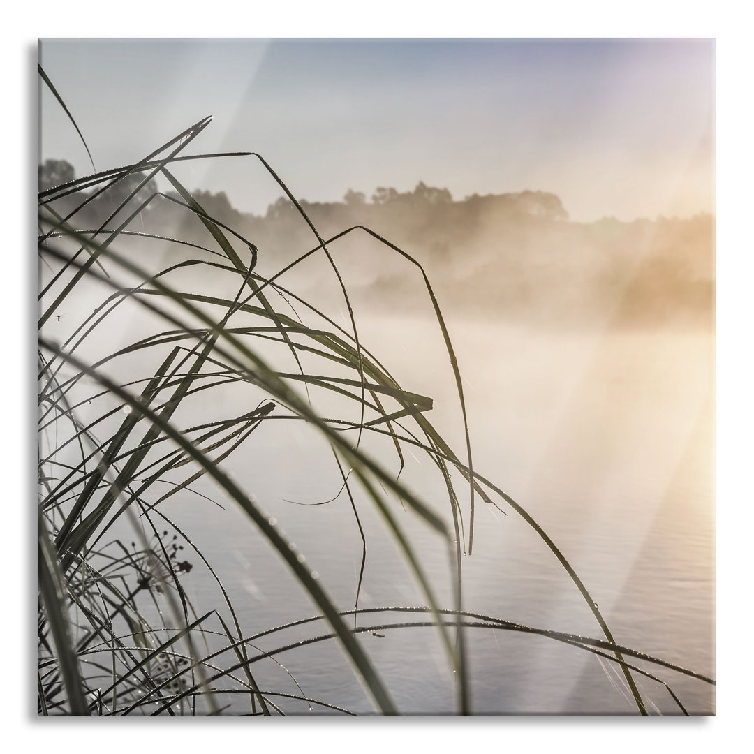 Glasbild Schneidegras am See