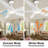 Modern 60'' 5-Blade Dimmable LED Indoor Ceiling Fan With Reversible Motor And Remote Control-1483433504