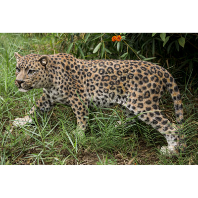Leopard Stalking Statue