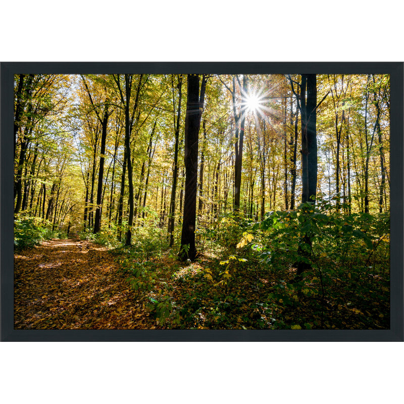 Single Picture Frame Photograph, 27.5" H x 39.5" W x 0.75" D