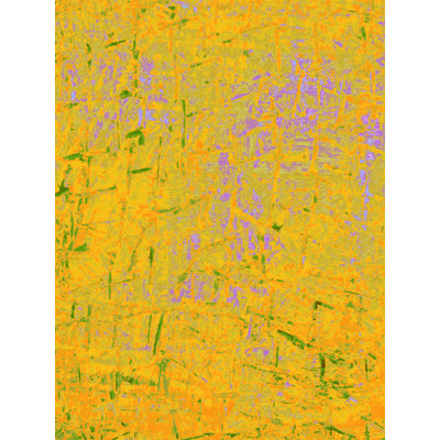 Almost Fall Print by Drew Gaffney