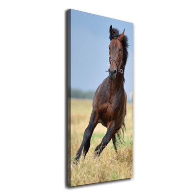 Horse On The Field - Wrapped Canvas Print
