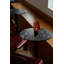 Portable Glass Mushroom Lamp-571218184