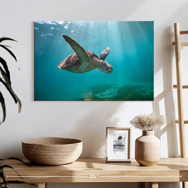 Brampt Martinique Sea Turtle, 16" H x 24" W