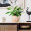 Wood Pot Planter-92659195