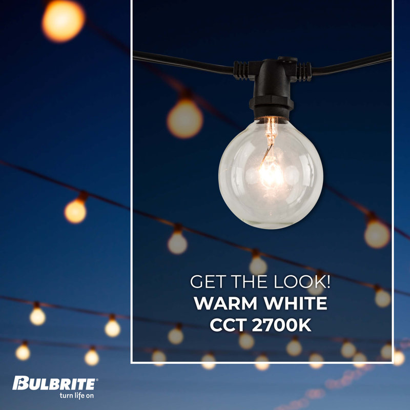 10-Light 14 ft. Globe String Light