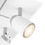 Lawley LED Spotlight