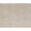 Area Rug in Ivory/Gray-1331798687-1303203783