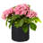 Anielka 10-Piece Plastic Nursery Pot-207067853