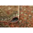 Vintage Distressed Anam Rust Runner