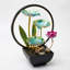 Fontaine de bureau lotus vert avec halo