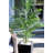 Areca Palm Artificial Tree with Black Planter-33118718-33118716