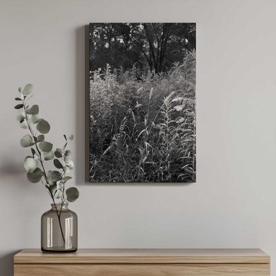 Wetlands by Tony Smith Canvas Art Print
