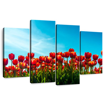 Fleurs de tulipes rouges Harnek