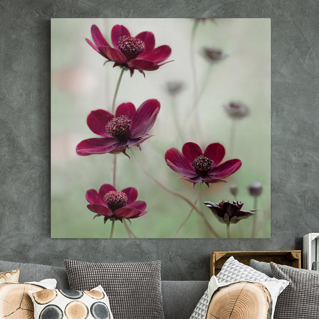 Leinwandbild Pink Cosmos