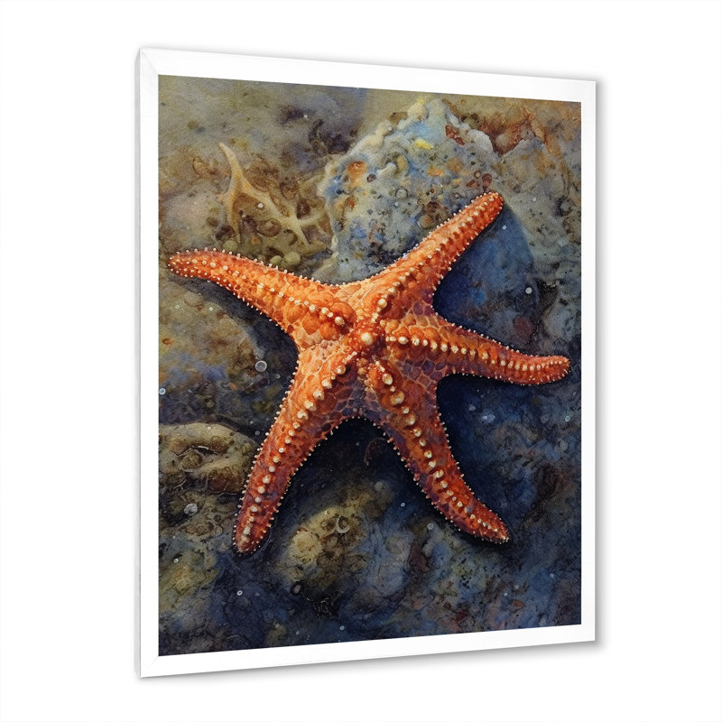 Étoile de mer Spinny I sur toile, Cadre simple blanc, H 32 po x l 16 po x P 1 po