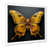 White Single Picture Framed selected