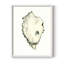 «Neutral Oyster Study IV», reproduction encadrée - bois massif-491070150-491070151