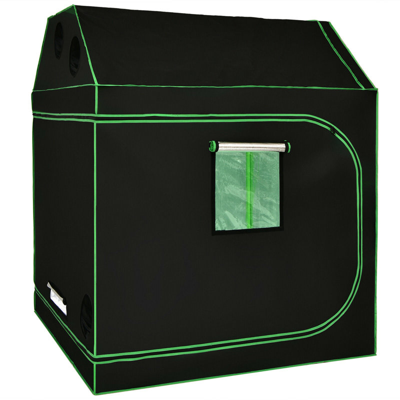 Mini serre l 60 po x P 60 po