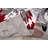 Rooshi Floral Gray/Red Area Rug-389132783