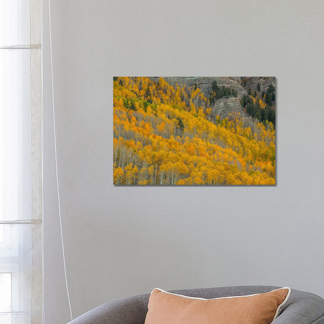 Autumn Canyon von Bill Sherrell - Galerie-umwickelte Leinwand Giclée auf Leinwand