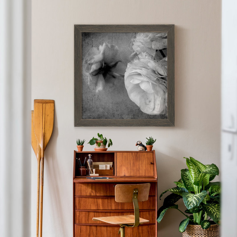 Renoncule foncé II - cadre photo, H 36 po x l 36 po x P 1 po, Papier avec cadre gris, Pas de tapis