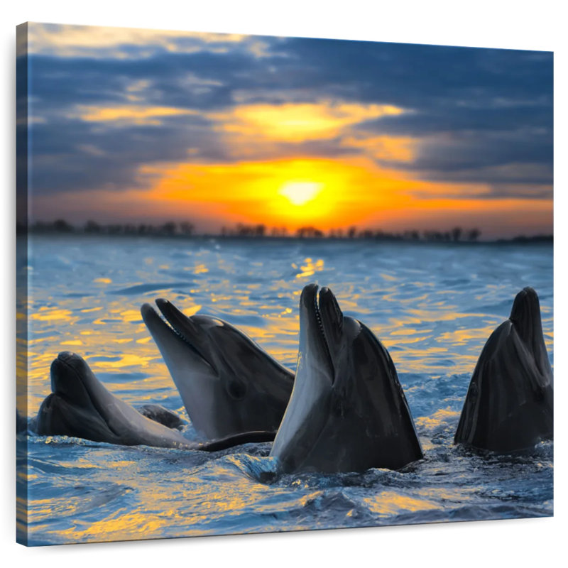 Brampt Grand Cayman Dolphins, 20" H x 20" W