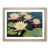 Oak Frame