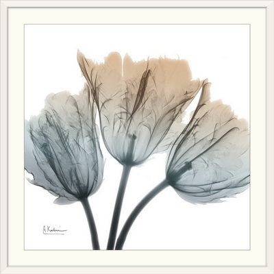 Manigault 'Earthy Tulips by Kiranjit Photographic Print
