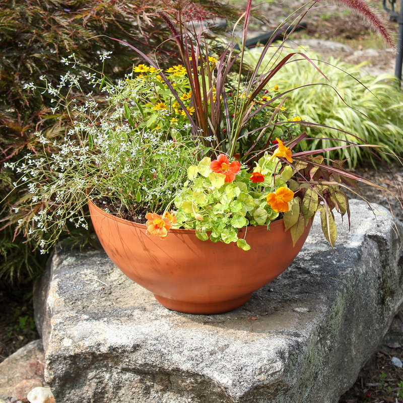 Burnt Sienna Galvanized Steel 12" Bowl Planter