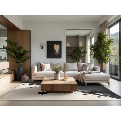Tapis noir moelleux et moelleux Eita