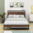Wilhelmi Metal Platform Bed Frame with Trundle and USB Ports-1270646384-1270646391