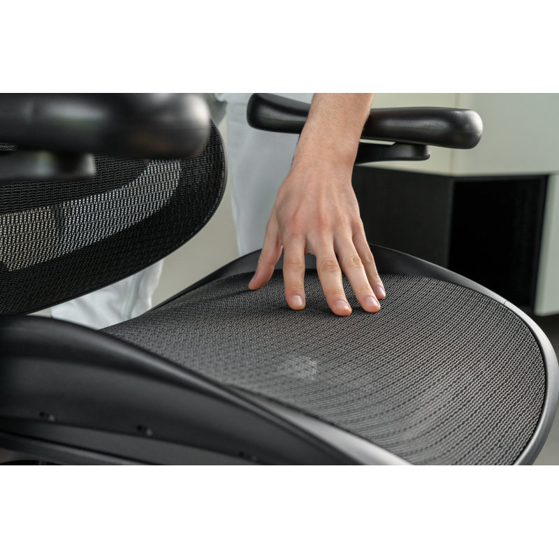 Ergonomic Office Chair with 3D Armrests, Dynamic Lumbar Support, Black/Silver, Black