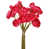 Rose est en rupture de stock