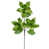 Vert clair