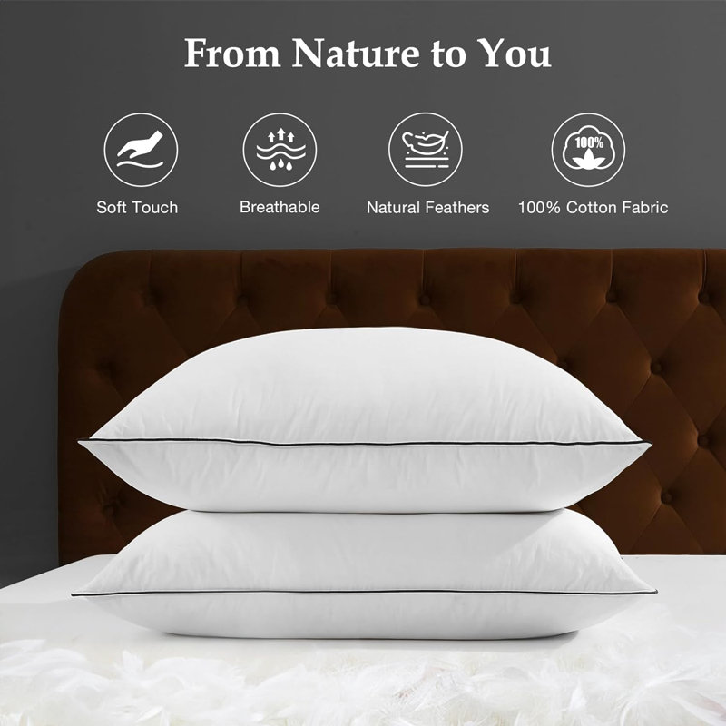 Ensemble de 2 coussins en duvet et mélange de plumes douces, Standard