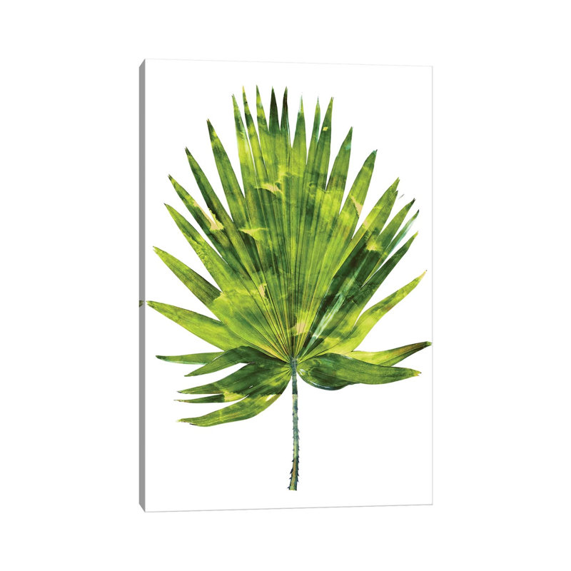 Green Palm IV by Melonie Miller - Wrapped Canvas Painting, 20.32 cm H x 30.48 cm W